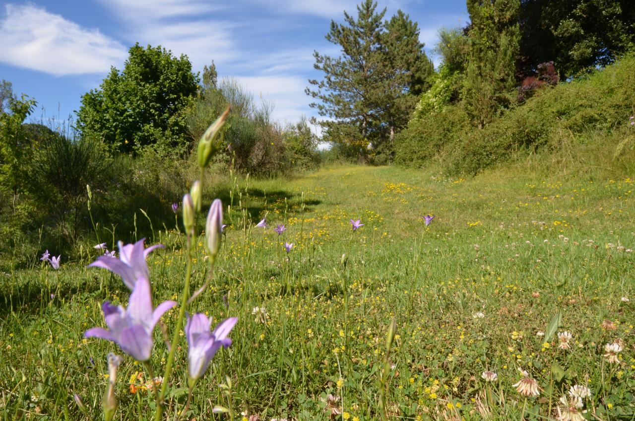Agriturismo Villa Mozart Nel Verde غوبيو المظهر الخارجي الصورة