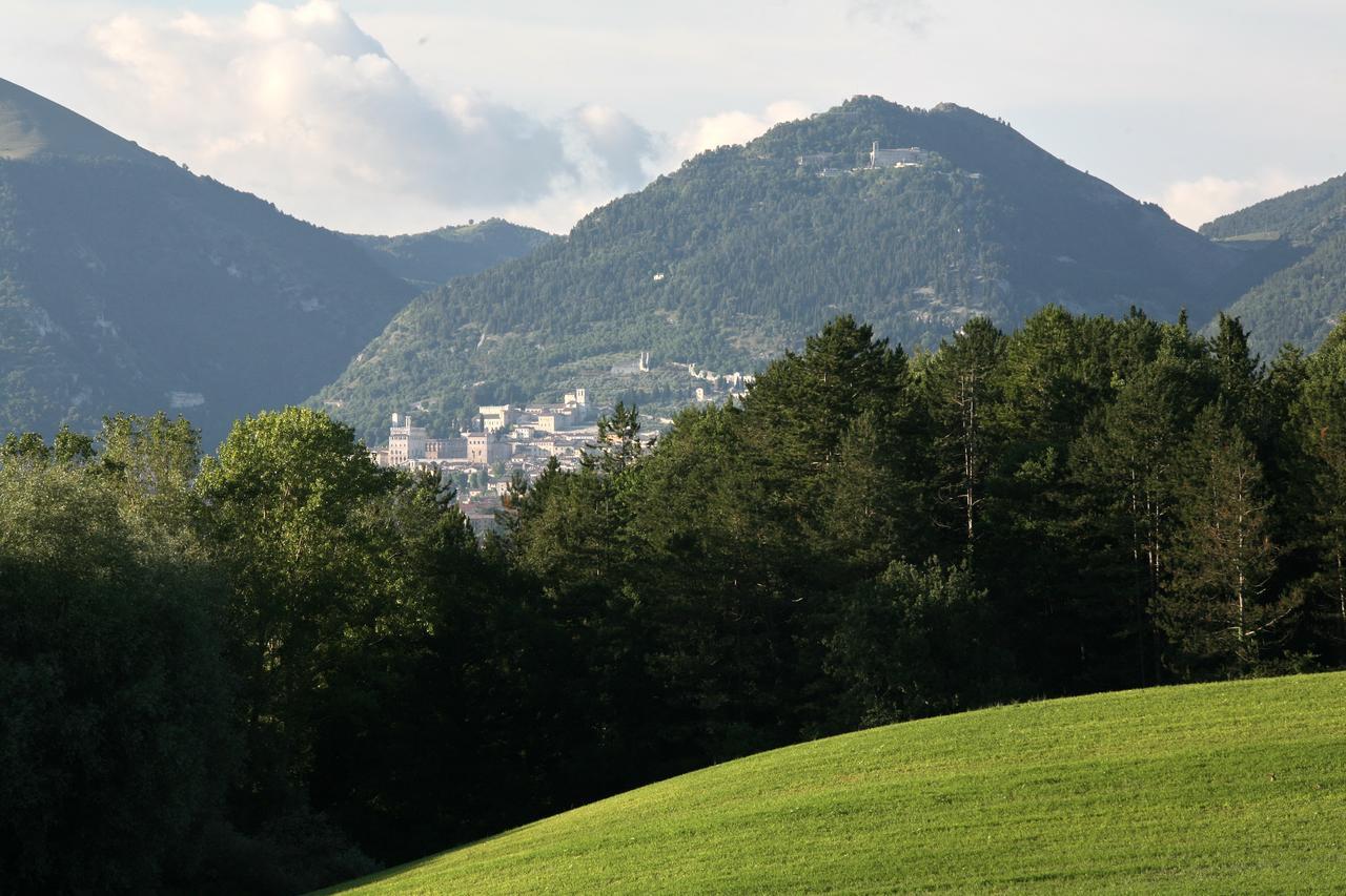 Agriturismo Villa Mozart Nel Verde غوبيو المظهر الخارجي الصورة