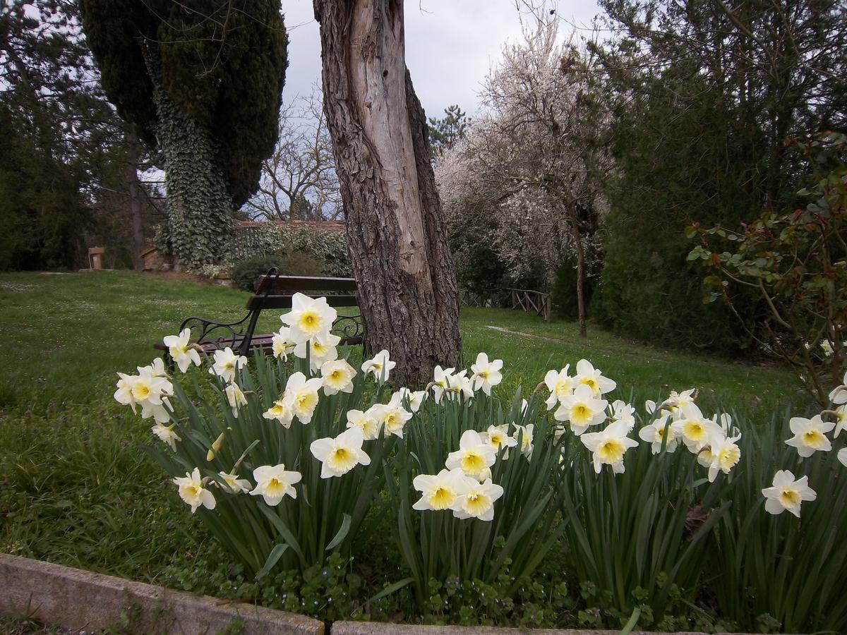 Agriturismo Villa Mozart Nel Verde غوبيو المظهر الخارجي الصورة