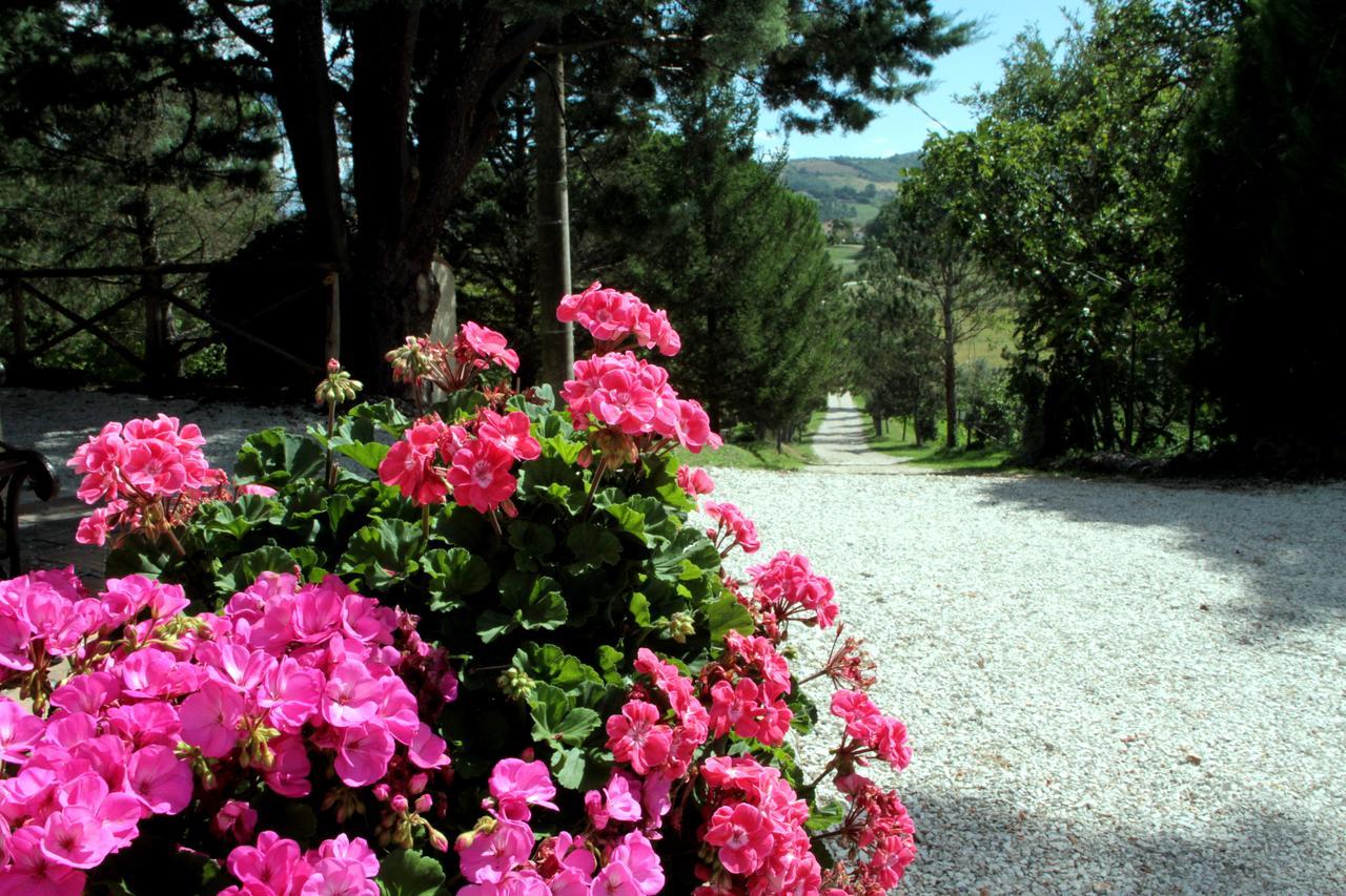 Agriturismo Villa Mozart Nel Verde غوبيو المظهر الخارجي الصورة