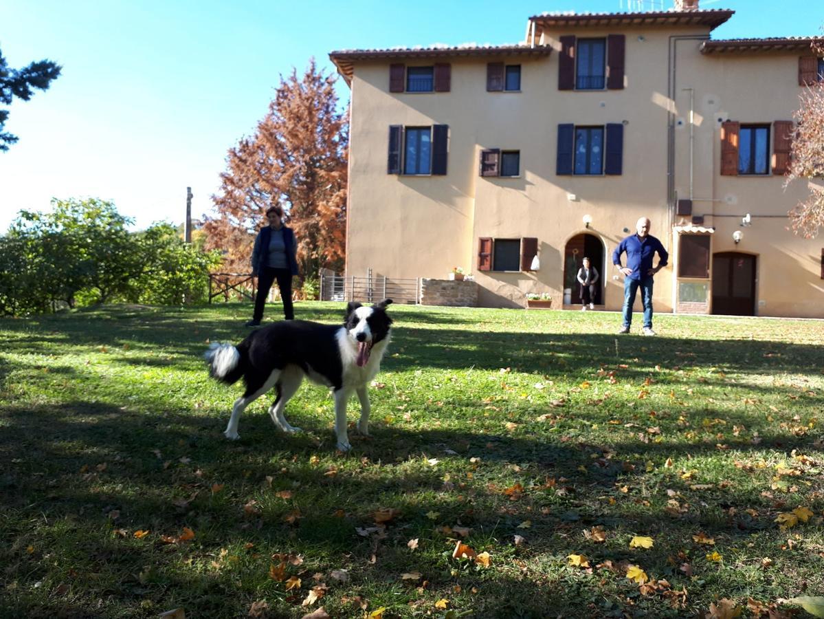 Agriturismo Villa Mozart Nel Verde غوبيو المظهر الخارجي الصورة