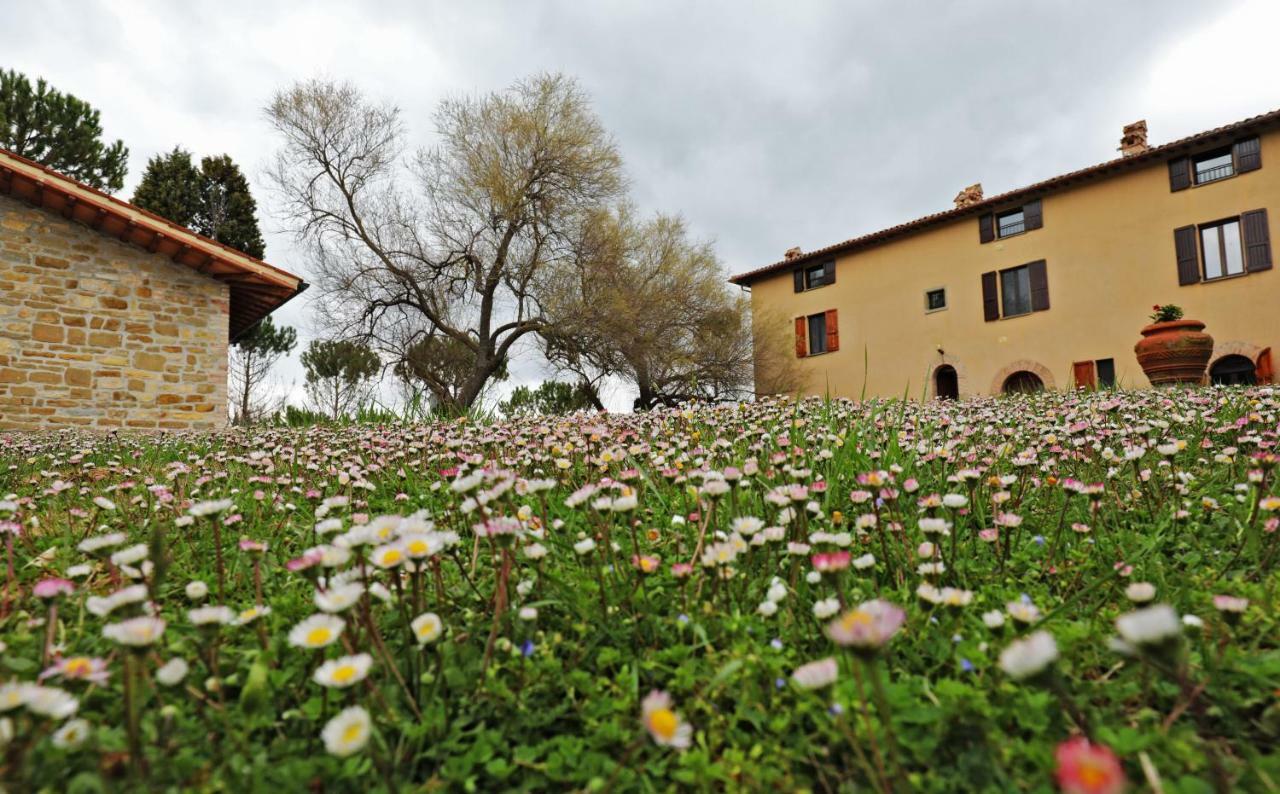 Agriturismo Villa Mozart Nel Verde غوبيو المظهر الخارجي الصورة